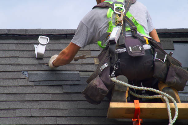 Best Roof Gutter Cleaning  in Corry, PA